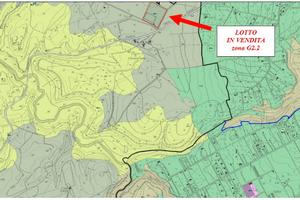 Realizzazione parchi ricreativi - centri sportivi