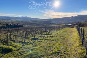 Terreno agricolo di 4 ettari con vigneto Bio Orcia
