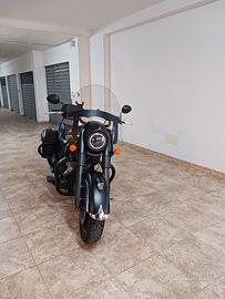 Indian chief dark horse 