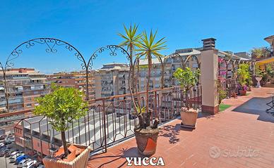 Yucca alta oltre 2 metri
