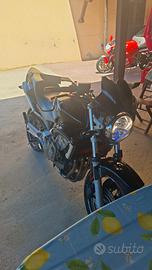 honda hornet 