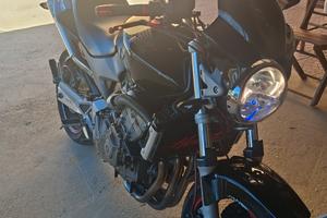 honda hornet 