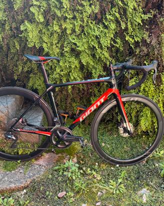 Giant TCR Advanced taglia M