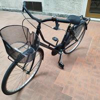 Bicicletta Donna ''Olandesina''
