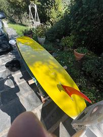 Longboard Part Time Lover 9.8