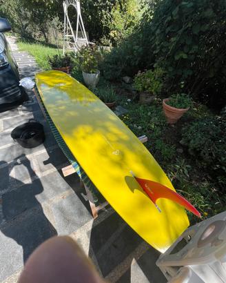 Longboard Part Time Lover 9.8