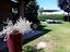 Immagine 29