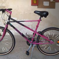 Bianchi Ragno neroviola