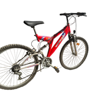 bicicletta da cross