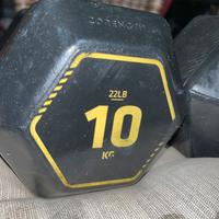 Coppia manubri 10 kg; pesi 20 kg