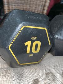 Coppia manubri 10 kg; pesi 20 kg