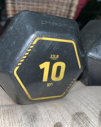 Coppia manubri 10 kg; pesi 20 kg