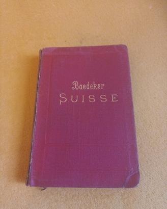 guida turistica baedeker suisse