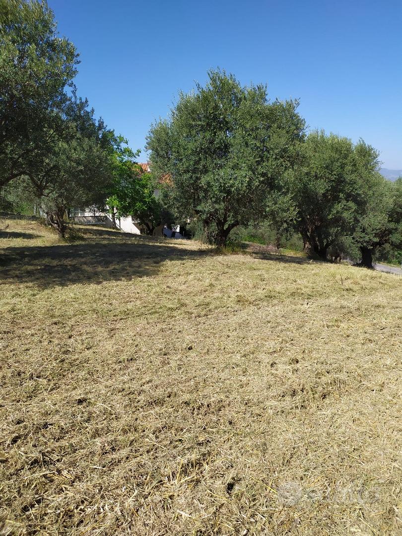 Terreno Edificabile Panoramico - Vista 4