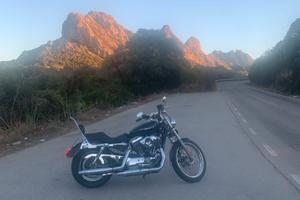 Harley Davidson Sportster 1200 XLC