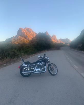 Harley Davidson Sportster 1200 XLC