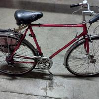 Bici usata uomo