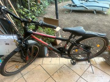 Licorne bike