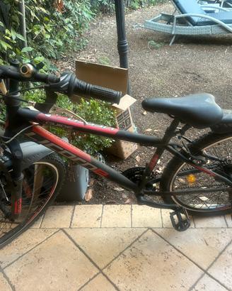 Licorne bike