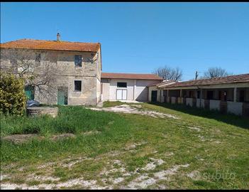 Vendita casa colonica e capannone