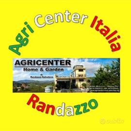 Olive dall'albero alla latta per olio