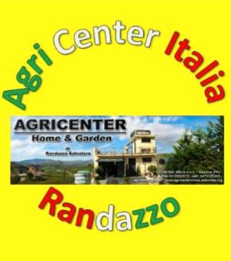 Olive dall'albero alla latta per olio