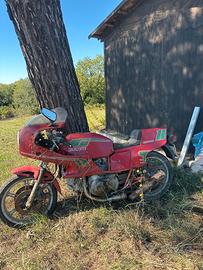Ducati Pantah 350