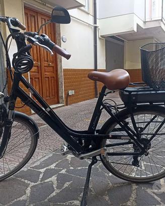 Bicicletta elettrica