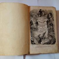 Storia della famiglia Bonaparte