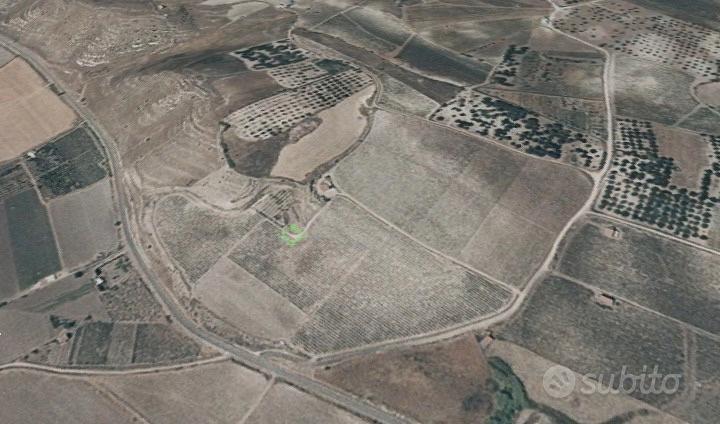 Terreno Agricolo (edificabile) - Vista 4