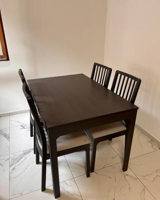 Ikea Tavolo Ekedalen + 4 sedie