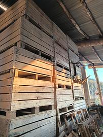 Cassoni in legno n 18