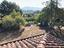 Immagine 25