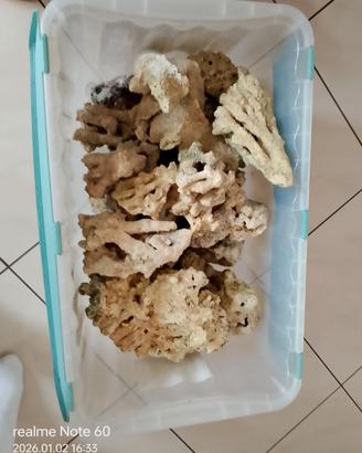 rocce per acquario marino