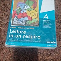 Letture in un respiro A  9788839525260