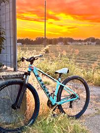 Bicicletta