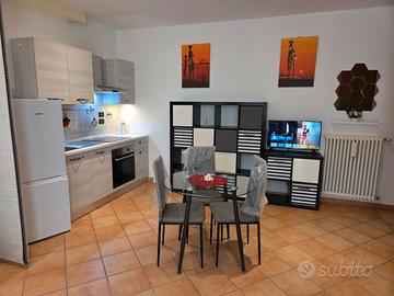 Monolocale arredato 35mq via Galeotti Bologna