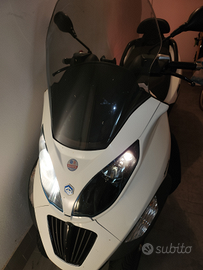 Sempre tenuta in box