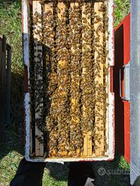 Api da agricoltura biologica