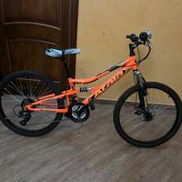 Biciclette mountainbike