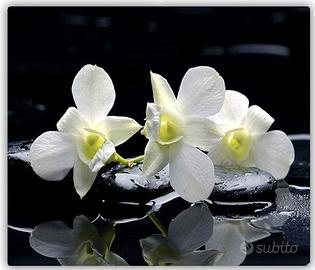 Copertura piano cottura ad induzione