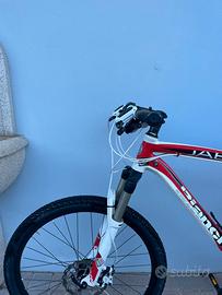 Mountain bike Bianchi uomo