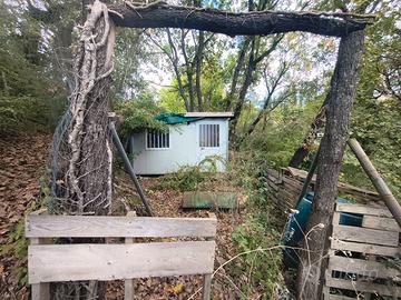 Terreno con rifugio da preparare