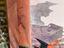 Immagine 6