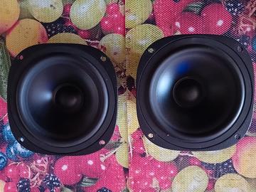 woofer  SEAS P14 RC/TV 