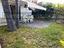 Immagine 11