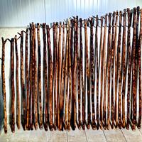 Bastoni di mandorlo siciliano 2026