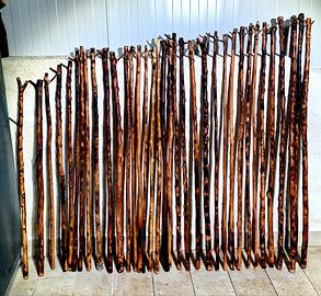 Bastoni di mandorlo siciliano 2026