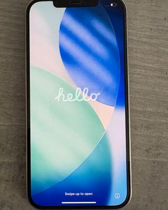 iPhone 12 Pro Max 256GB Argento-usato