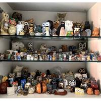 Grande collezione di civette decorative